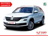 Skoda Kodiaq 2.0 TDI 4x4 LED ACC AHK 360° Navi DAB SHZ - Skoda Kodiaq in Dresden
