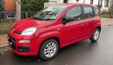 Fiat Panda Pop nur 60.000km aus 1. Hand - Fiat Panda Gebrauchtwagen in Frankfurt