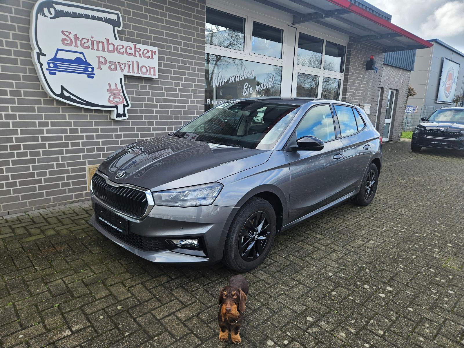 Skoda Fabia Selection LED SMART SHZ KAMERA VCP TEMP