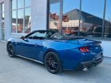 Ford Mustang GT Cabrio Premium 5.0l V8 Grail - Ford Gebrauchtwagen in München