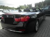 BMW 420d Aut. Cabrio Luxury Line  - BMW 420: Cabrio