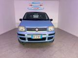 Fiat FIAT Panda 1.2. Alessi - Fiat Panda Alessi mit Benzin-Antrieb