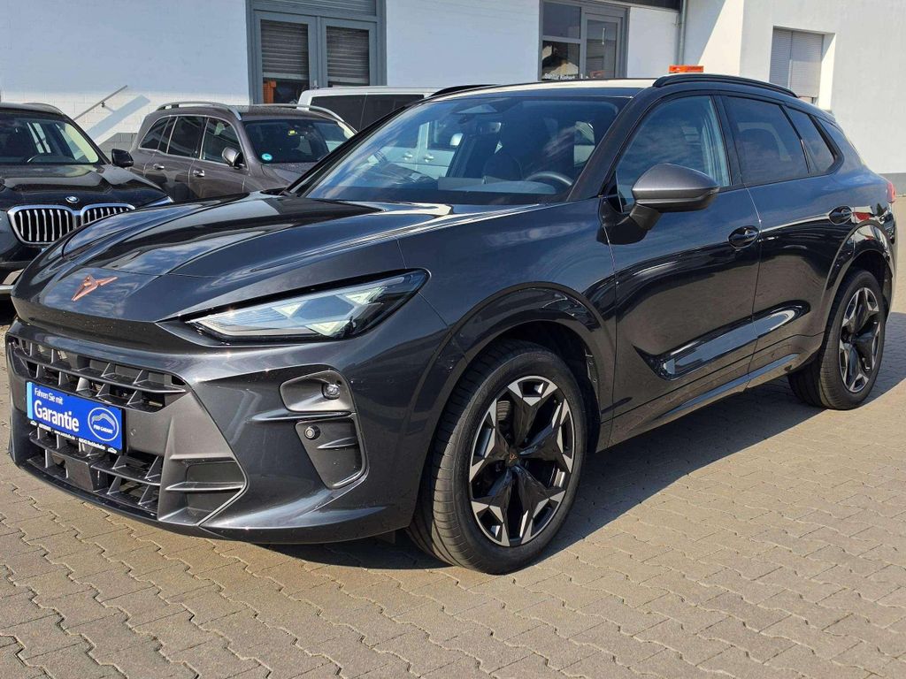 Image of Cupra Terramar