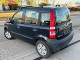 Fiat Panda 1.1 8V Active - Fiat Panda: Blau