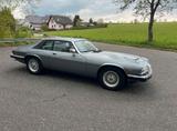 Jaguar XJS V12 Top gepflegt - Jaguar XJS: Coupe, V12