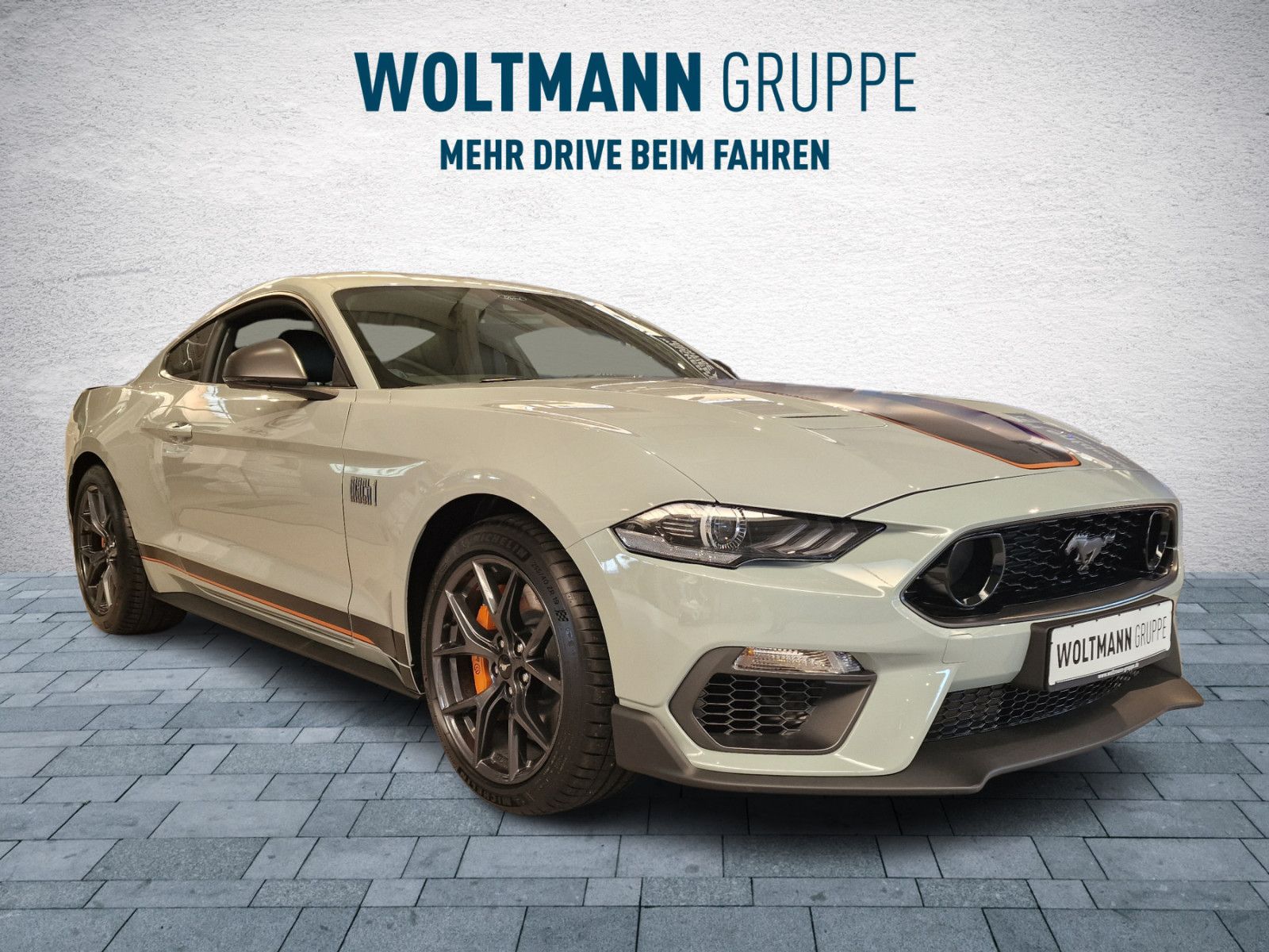 Fahrzeugabbildung Ford Mustang Mach 1 Sonder Edition