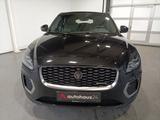 Jaguar E-PACE P160 R-Dynamic S LED|Navi|PDC|360°|Sitzhz - Jaguar Gebrauchtwagen in Nürnberg