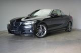 BMW 220 d Cabrio M Sport Navi/Leder/Temp/H&K/ - BMW 220 in Braunschweig
