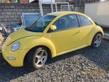 Volkswagen VW Beetle mit TÜV original 110000km Bj.199... - Volkswagen Beetle in Bonn
