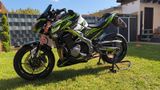 Kawasaki Z900 Performance  - KAWASAKI MANNHEIM