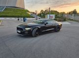 Ford Mustang 5.0 Ti-VCT V8 GT GT - Ford Mustang Gebrauchtwagen in Stuttgart