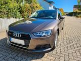Audi A4 B9 3.0 TDI tiptronic quattro Avant - Audi A4: 3.0