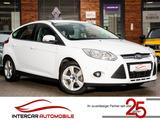 Ford Focus 1.6 Ti-VCT Trend |Komfort P.|Park-Assis.| - Ford Focus: 1.6