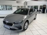 Skoda Scala 1.0 TSI Selection AHK Climatronic Garantie - Skoda Gebrauchtwagen in Siegen