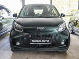 Smart ForTwo EQ Leder DAB Apple Android Kamera LED - Smart ForTwo: Grün