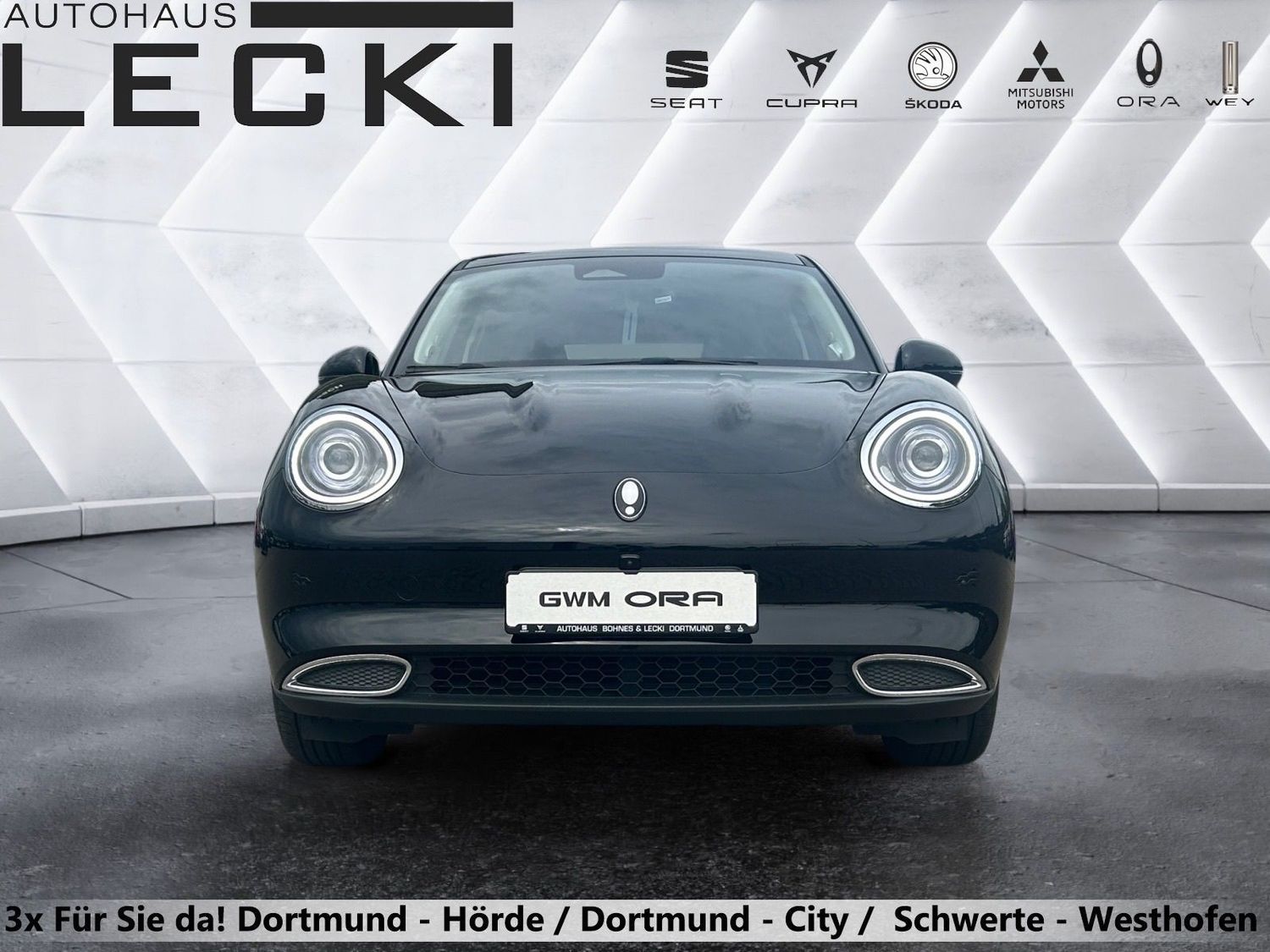 GWM Ora 03 - Bild 8