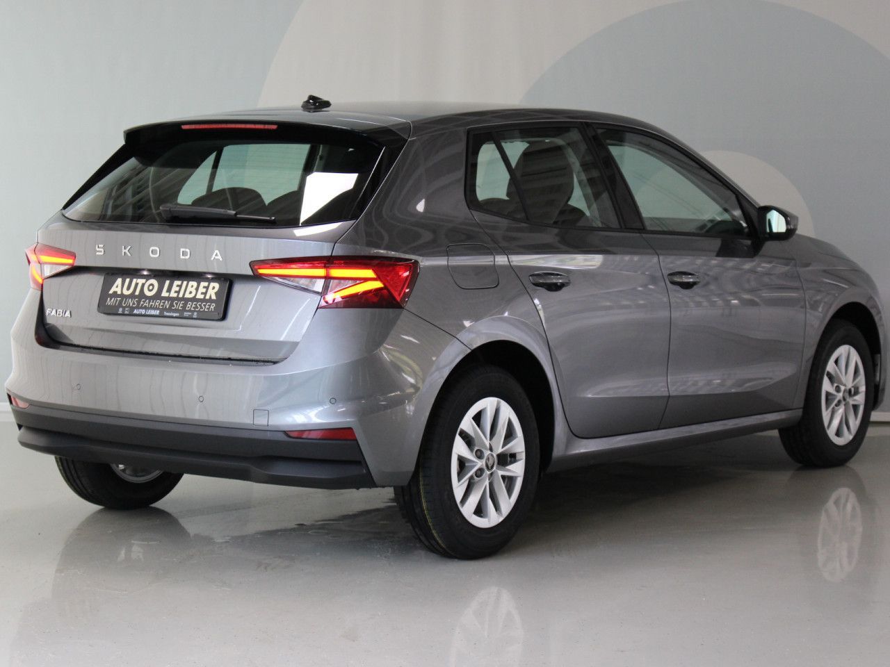 Fahrzeugabbildung SKODA Fabia 1.0 TSI Selection RFK/APP/SHZ/LANE