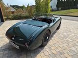 Austin Healey Andere