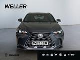 Lexus NX 350h *Bi-LED*Kamera*ACC*SmartKey*Navi*CarPlay - Lexus: Nx