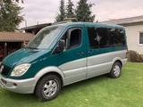 Mercedes-Benz Sprinter Bus Unikat - Angebote
