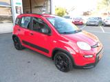 Fiat Panda  -Original Fiat LPG- Klima 1.Hand - Fiat Panda mit LPG-Antrieb