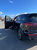 Porsche Cayenne Diesel Platinum Edition Platinum Edition - Porsche Gebrauchtwagen in Mannheim