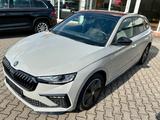 Skoda Scala Monte Carlo *Matrix/Kamera/5J Garantie - Skoda Scala: Grau, Garantie