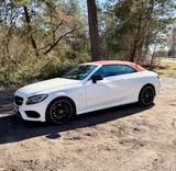 Mercedes-Benz C 300 Autom. - Night Edition - Service neu  - Mercedes-Benz: Weiß, Cabrio