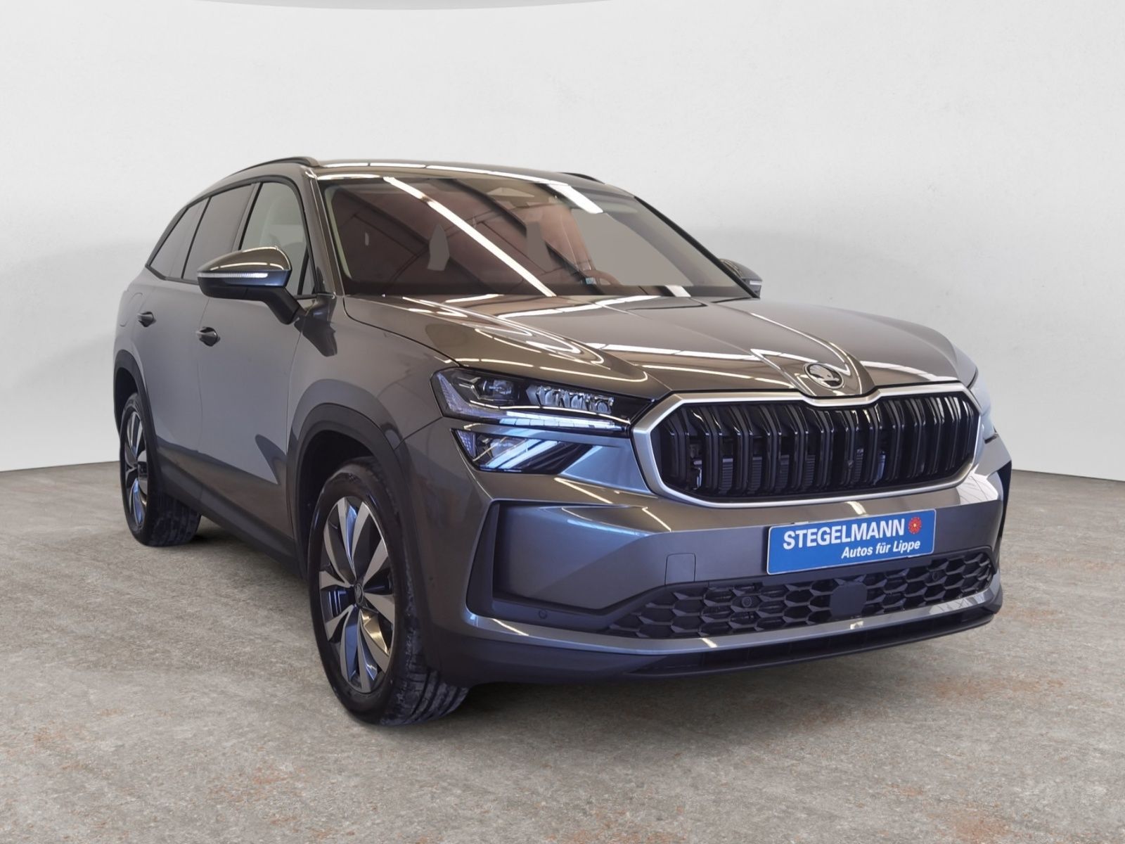 Skoda Kodiaq - Bild 8