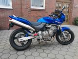 Honda Hornet CB600S PC34 - HONDA HORNET 600 PC34