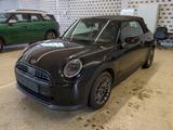 MINI Cooper C Cabrio - MINI Jahreswagen: Cabrio