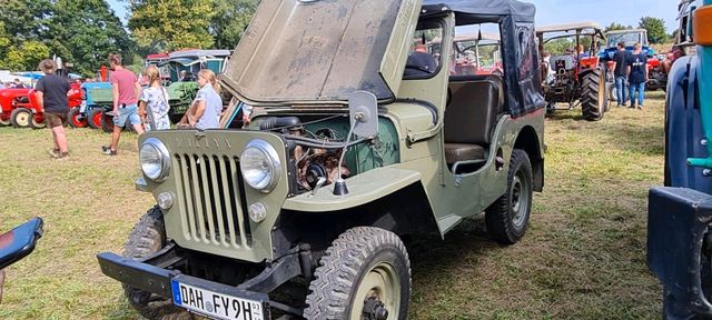 Jeep Willys jeep cj3b bj53