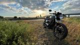Triumph Street Cup - TRIUMPH STREET CUP
