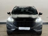 Ford Kuga 2.0 EcoBlue 4x4 Aut. ST-LINE X / ACC / AHK - Ford Kuga in Krefeld