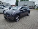 Citroën C4 Cactus Shine*AHK*KAMERA*TEMPOMAT*GARANTIE - Citroën C4 Cactus aus 2019