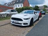 Ford Mustang 5.0 V8 - Ford Mustang in Oldenburg