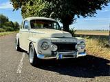 Volvo PV 544 B 18 Buckelvolvo - Volvo: Pv 544