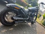 Harley-Davidson Street BOB  - Offers matching your search criteria