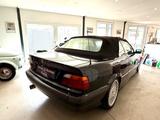 BMW 318i/Originalzustand/Alpina Felgen - BMW 318 aus 1994