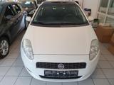 Fiat Grande Punto 1.2 8V Dynamic - 116.000 Km - weiße Fiat Grande Punto