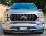 Ford F 150 5.0 private 4x4 - silberne Ford F 150
