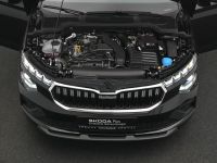 Skoda Kamiq - Vorschau Bild 29