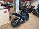 Honda CB500 Hornet E-Clutch *Tageszulassung 07-26* - Angebote