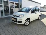 Fiat Panda 1.2 Lounge Klima Bluetooth NS PDC Alu - gebrauchte Fiat Panda aus dem Jahr 2018