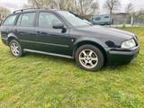 Skoda Octavia Combi Tour - Skoda Octavia aus 2010: Tour