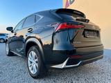 Lexus NX 300 300h Business Line - Lexus NX 300 Gebrauchtwagen
