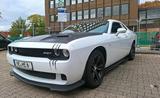 Andere dodge challenger 3.6  SRT Umbau - Andere: Sportwagen