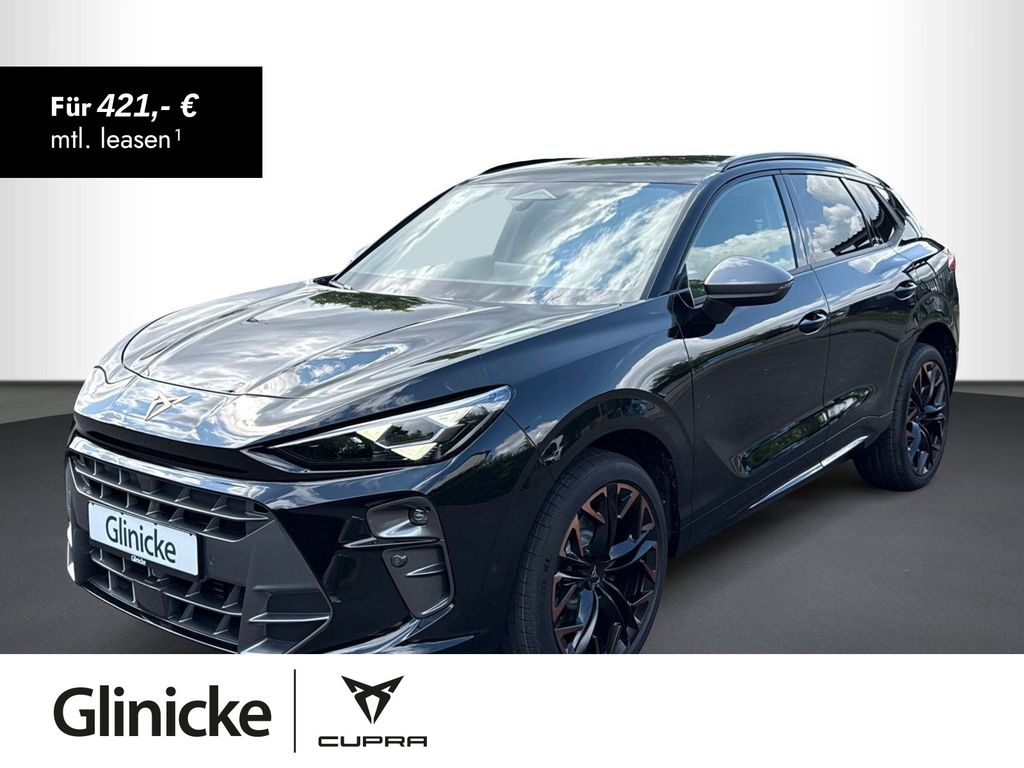 Terramar VZ 2.0 TSI 4Drive DSG, AHK, RFK