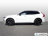Volvo XC60 B5 AWD Plus Black Edition/360°CAM/AHK/FHZ - Volvo XC60 Neuwagen