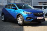 Opel Grandland X 1.5 CDTI Business LED Navi Kamera - Opel Grandland (X) in Magdeburg